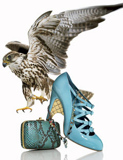 accessories-0907-2-md