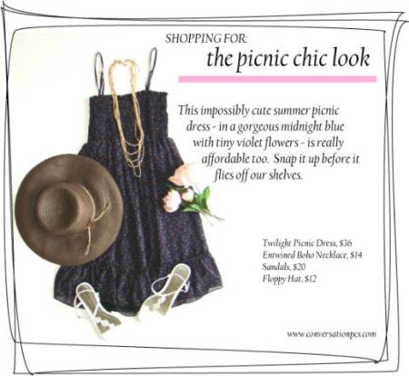 TwilightPicnic-519x478