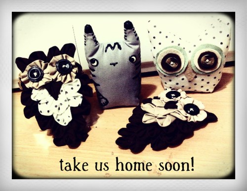 IMG-20110910-04805_Instant_4