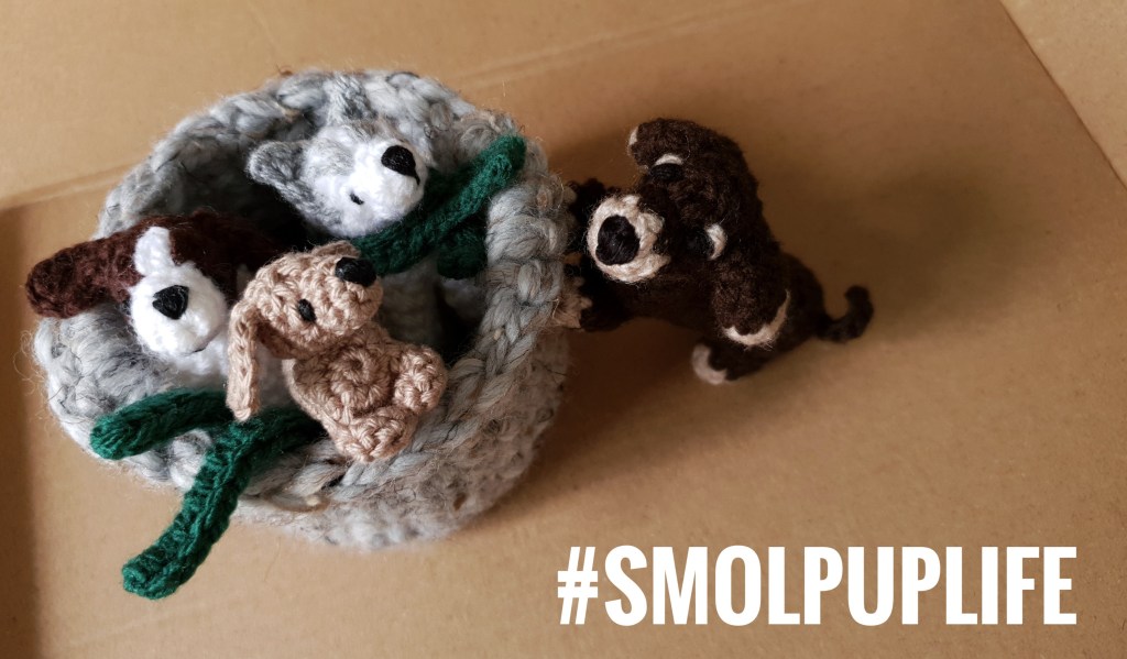#smolpuplife
